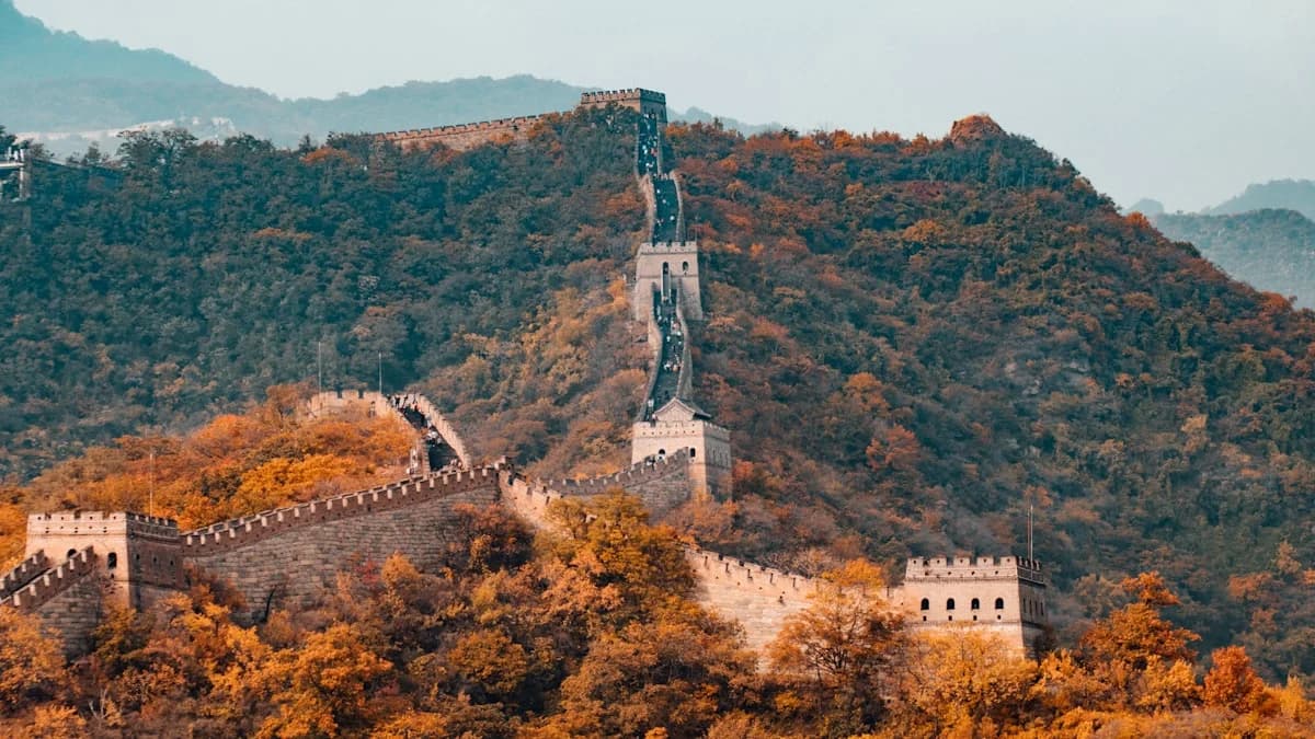 Sightseeing Tours